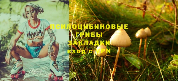 хмурый Балахна