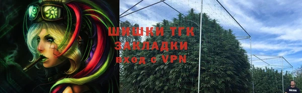 трава Аркадак